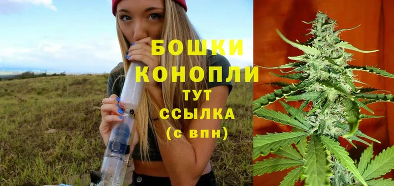 магазин продажи наркотиков  Набережные Челны  блэк спрут зеркало  Каннабис White Widow 